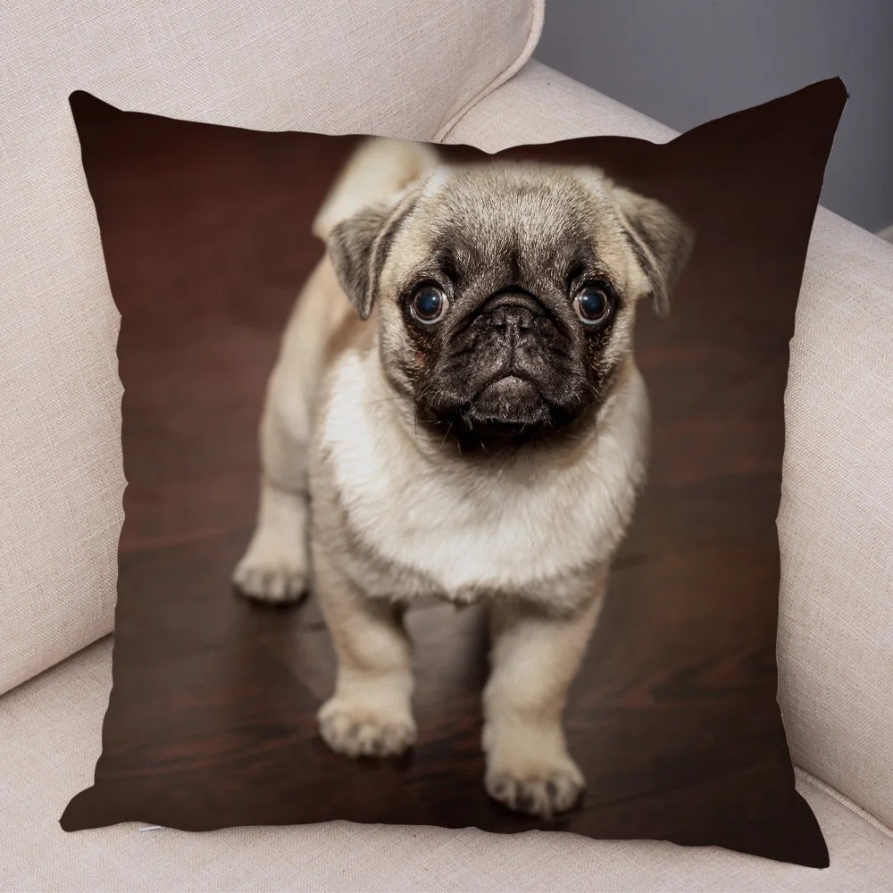 Cute Pug Dog Cushion Cover Both Sided Print Decor Pet Animal Pillowcase for Car Sofa Home Car Soft Plush Throw Pillow Case