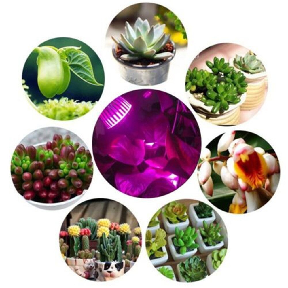 1 Pcs Licht Groeien Volledige Spectrum Indoor Fitolampa E27 220V Smd 2835 Voor Zaailingen Planten Phytolamp Lamp Voor planten Verlichting