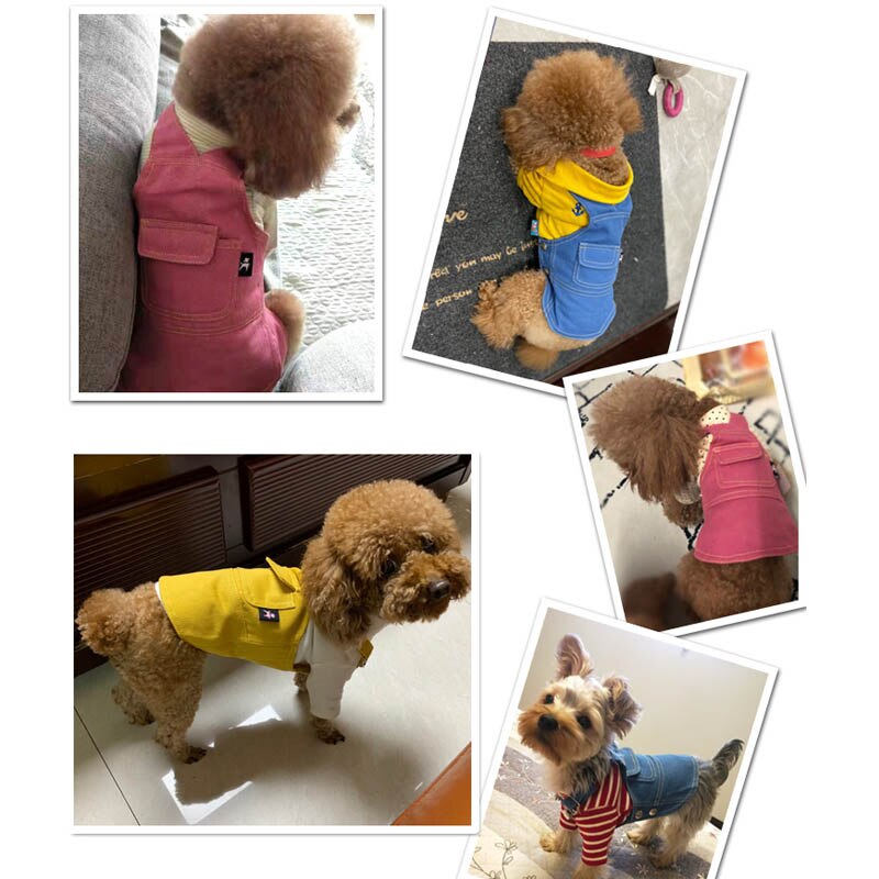 Hondenkleding voor huisdieren, franse bulldog, puppy, hondenkleding voor kleine en middelgrote honden, jeans, jas, mopshond