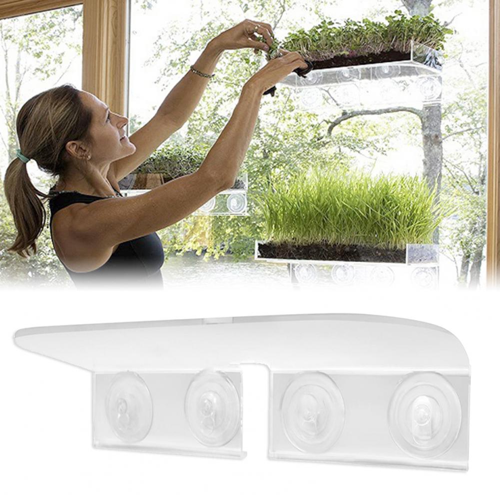 Garden Veg Bonsai Suction Cup Acrylic Ledge Window Shelf Bathroom Display Rack
