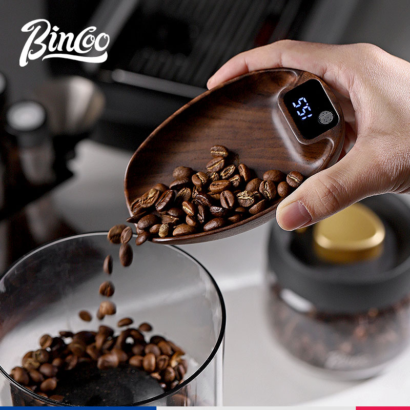 Bincoo-báscula electrónica inteligente para cocina, báscula para café, placa para granos, 0,1g, peso preciso, recargable