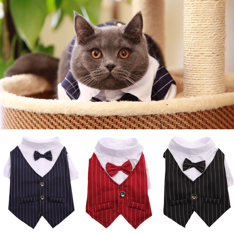 Beau Costume de fête pour chien et chat, vêtements solides à la , veste pour animaux de compagnie pour chats, petits chiens, vêtements de fête d'anniversaire et de mariage
