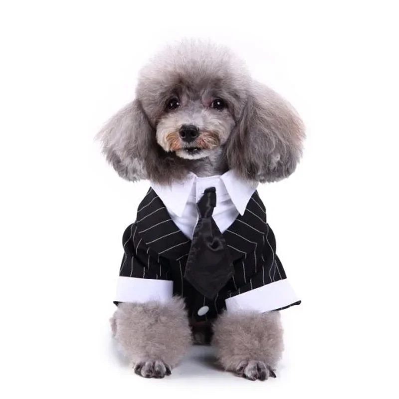 Gentleman Hond Kleren Kat Huisdier Trouwpak Leuke Cachorro Mascotas Pak Gestreepte Smokingvlinderdas Wedding Shirt Kostuum