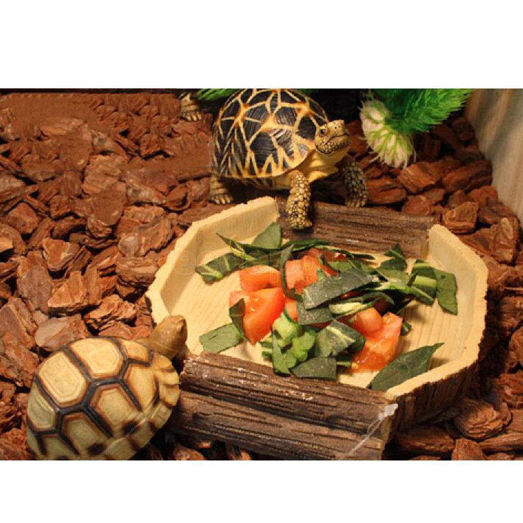 Plato de agua y comida, cuenco, bandeja, terrario, decoración para reptiles, tortugas, serpientes, 16x15x2,5 cm