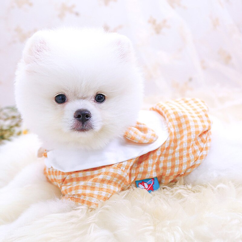Sommar katt hund skjorta valp yorkshire yorkie kostym liten hund kläder t-shirt pomeranian pudel bichon schnauzer sällskapsdjur päls