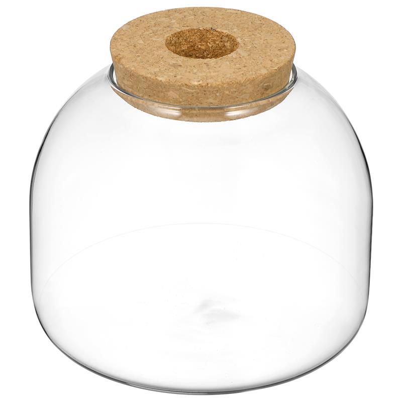Kurk Glazen Fles Plant Terrarium Grote Micro Landschap Bloempotten Ecosysteem Kleine Container Beugel Koekjestrommel Kantoor