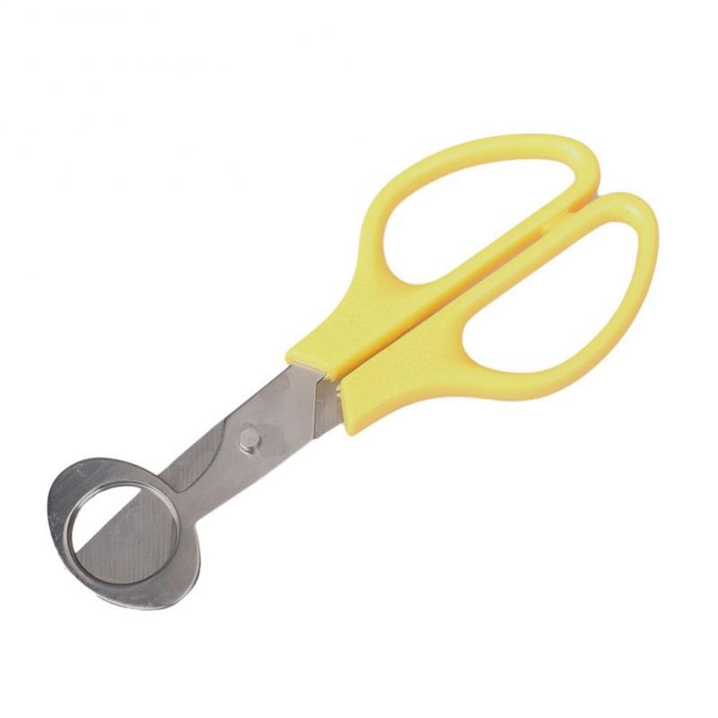 Ouvre-ciseaux pour œufs de caille, outil de ciseaux pour œufs de Pigeon, gadget de cuisine: 03