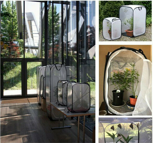 Foldable Habitat Insect Cage Mesh Transparent Surface Portable Zipper