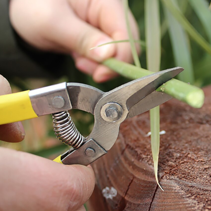Stainless Steel Cutting Tools Tree Flower Cutter Shears Anti-slip Gardening Pruning Shear Scissor Handheld Plant Pruner