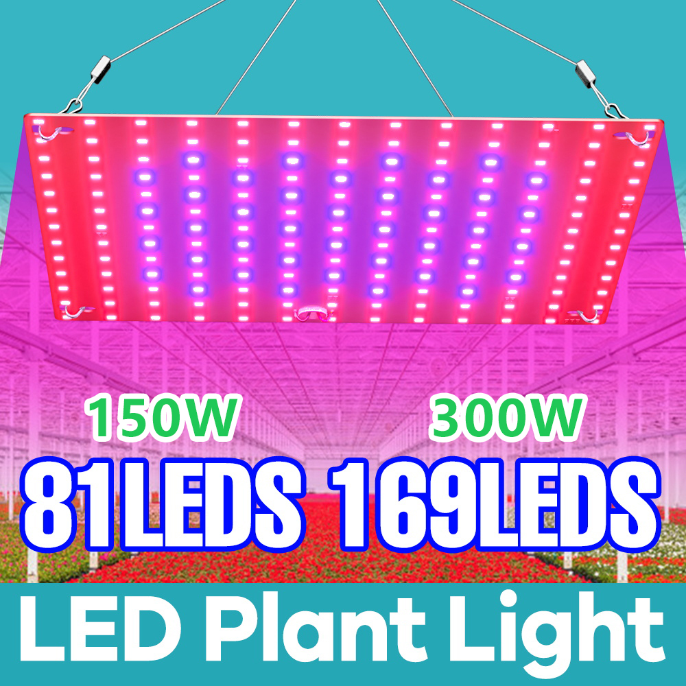 LED-Pflanzenwachstumslicht, 300 W, Vollspektrum, Quantum-Gremium, Hydrokultur-Tafel-Lampe, Wachstumsbox, Gewächshausanbau, Beleuchtung, 110 V/220 V