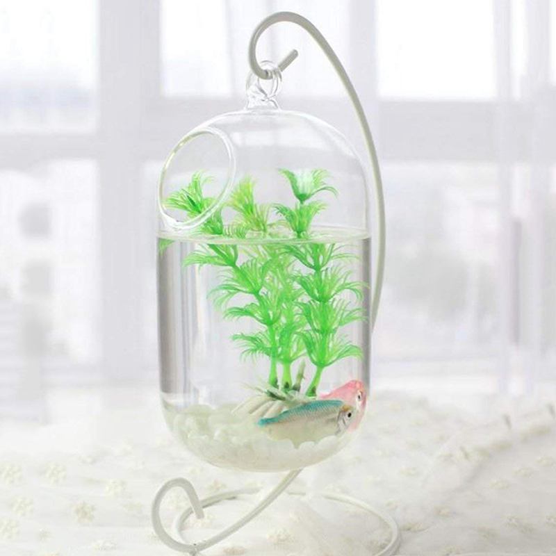 (6 pacote) ornamento expositor, ferro pendurado suporte rack suporte para suspensão globo de vidro planta de ar terrário, bruxa bola, christma