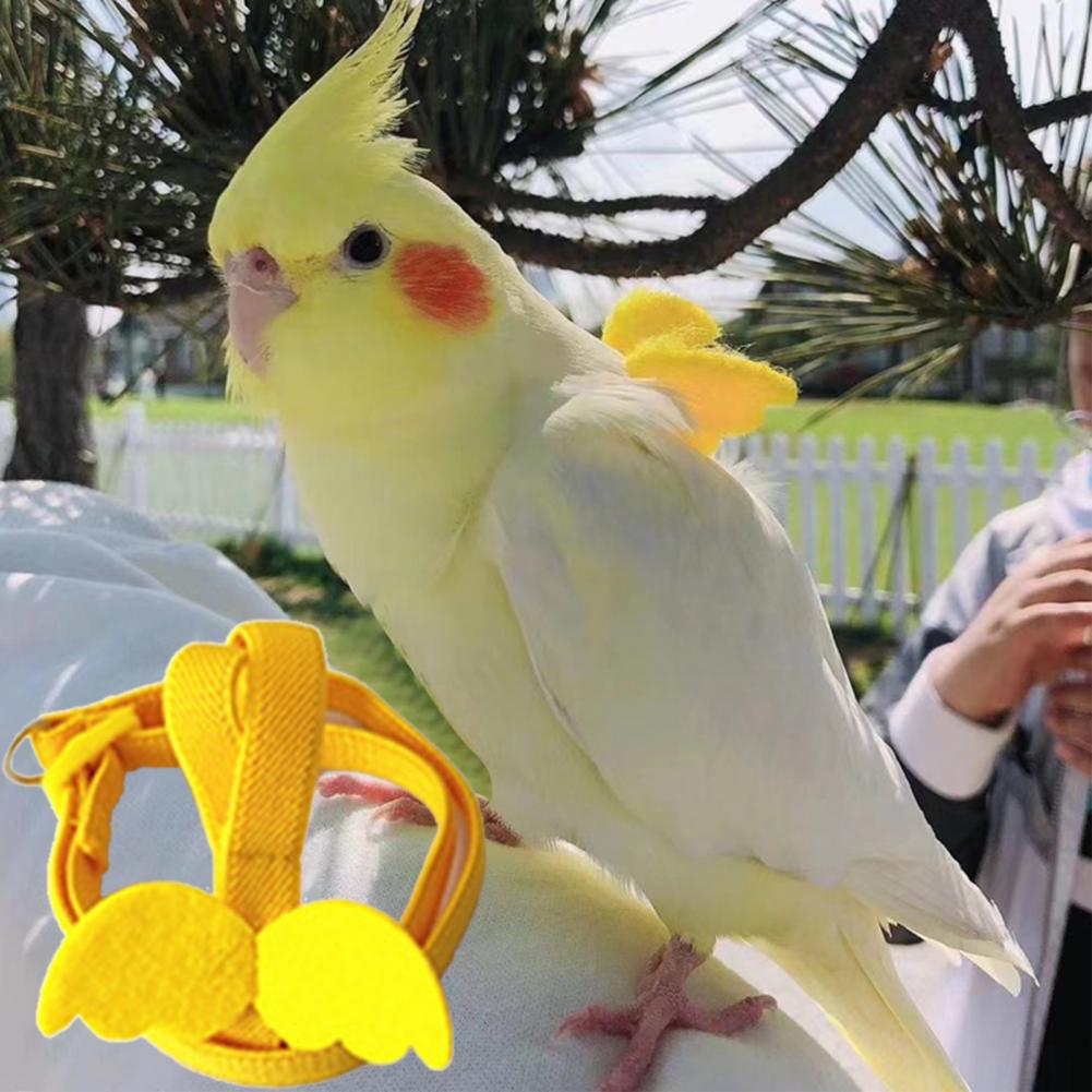 Lange Kabel Vogel Harnas Leash Anti-Bite Training Touw Decoratieve Lichtgewicht Parkiet Papegaai Vest Touw Voor Valkparkiet Kleine Vogels