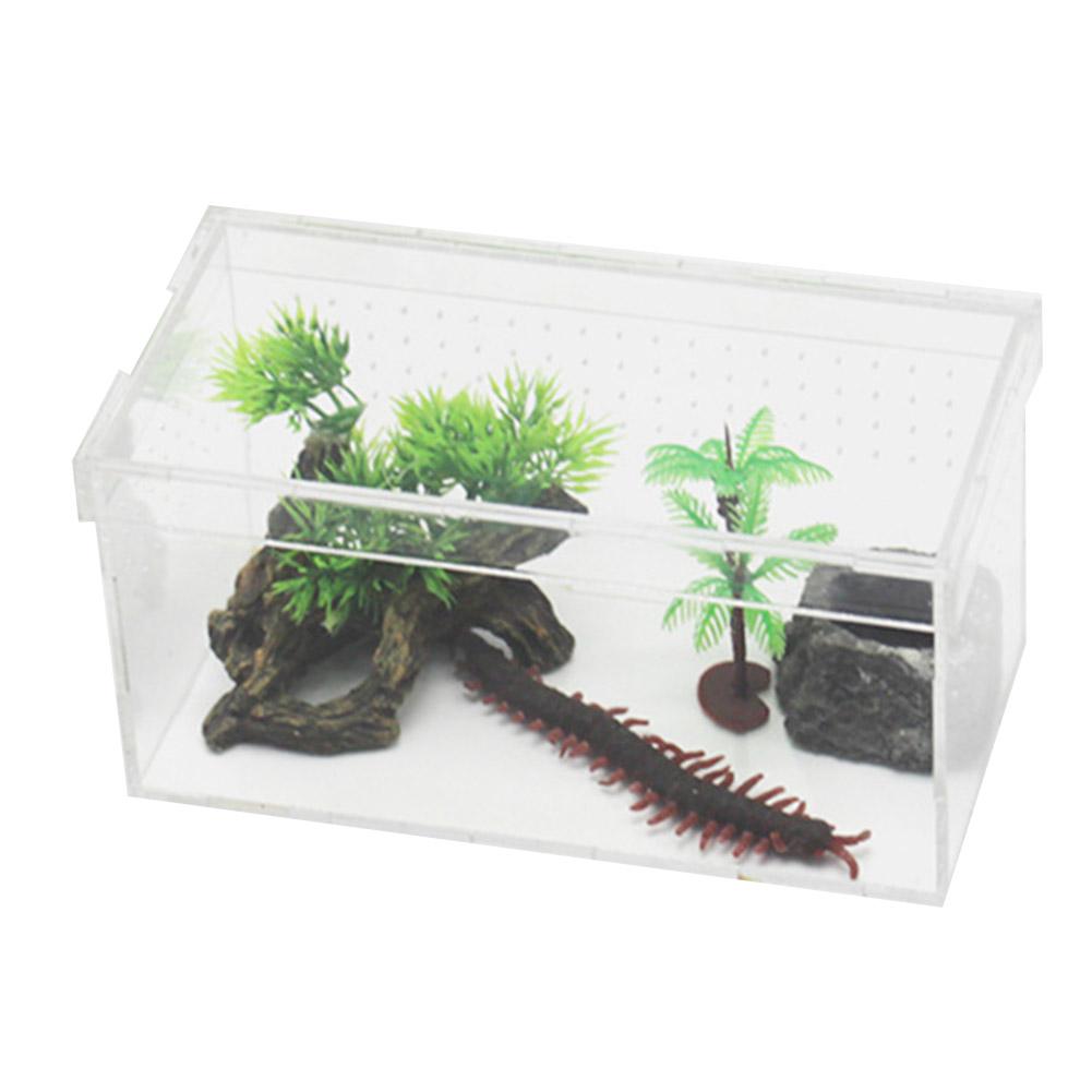 Reptile Breeding Box Acrylic Transparent Sliding Cover Reptile Tank Insect Spiders Tortoise Lizard Feeding Box Terrarium: 20X10X10cm