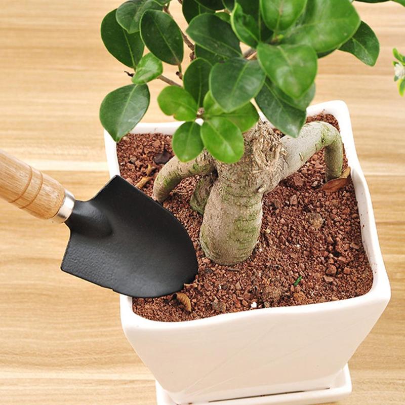 3 stk mini haveværktøjssæt mini skovl rake spade rale med træhåndtag metalhoved gartner bonsai værktøj haveværktøj