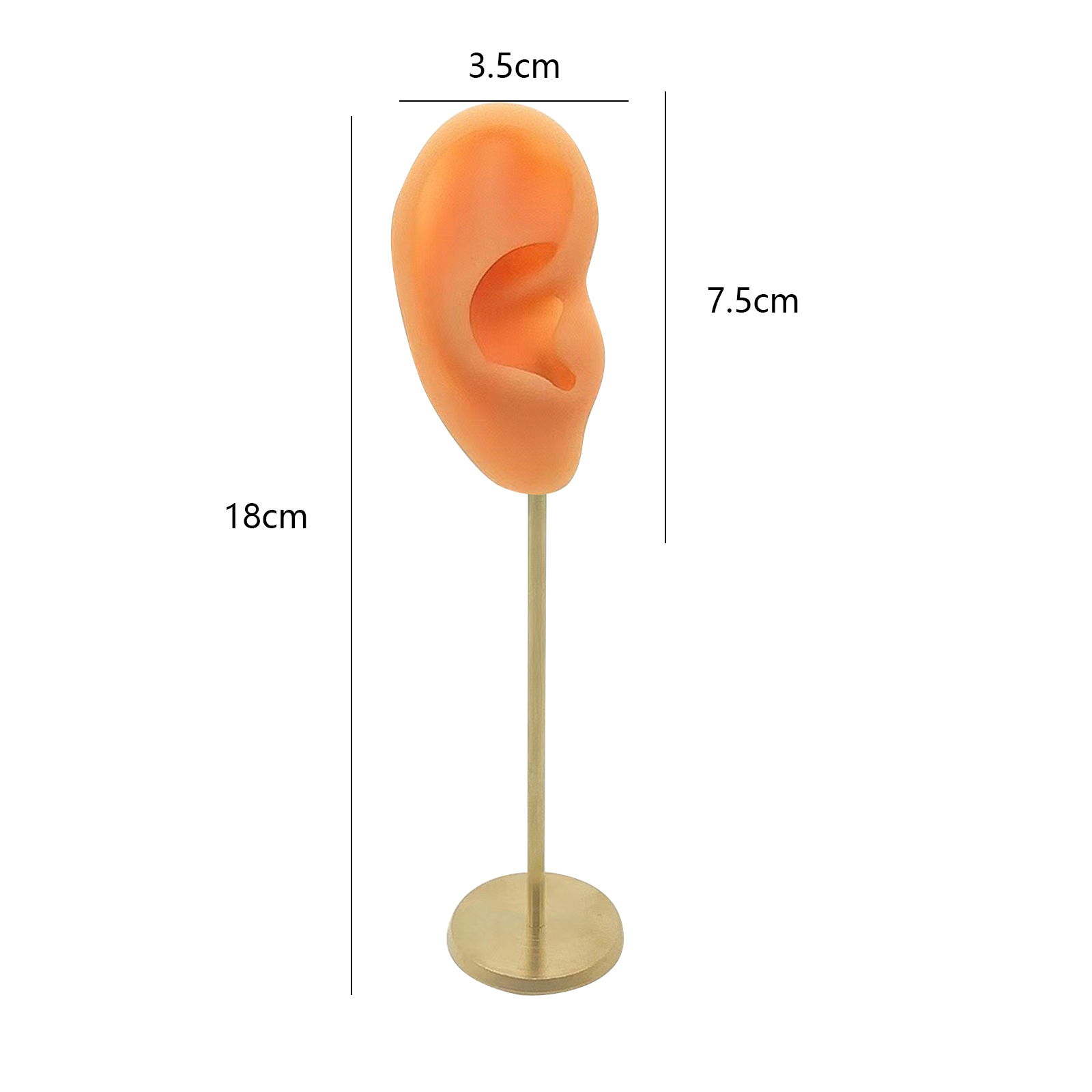 Soportes de exhibición duraderos para pendientes, modelo de oreja humana, soporte para perno prisionero, Base redonda de silicona suave, soporte para maniquí de cumpleaños, organizador de pendientes