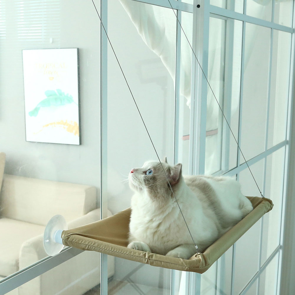 Hamac d&#39;intérieur avec fenêtre pour chat, siège solaire à 360 °, support de repos amovible, étagère permettant de gagner de l&#39;espace, lit pour chat, jusqu&#39;à 38lb: A