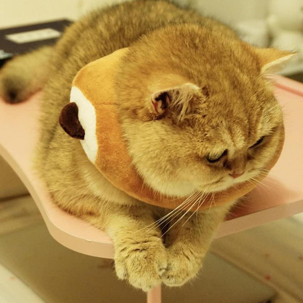 Adjustable Bread Shape Pet Protective Collar Dog Neck Cone Recovery Cone Anti-Bite Surgery Wound Healing Cat Dogs Collar