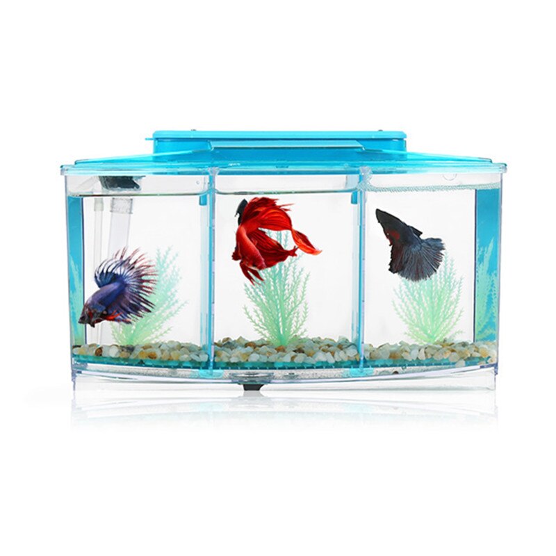 Pecera acrílica de tres divisiones, pecera Betta, luz Led para acuario, Incubadora, caja de cría, pecera Guppy, pecera, casa reptil de tortuga