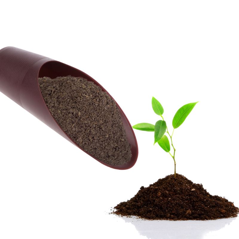 Mini Fleshy Plant Soil Spade Shovel Garden Tool Plastic Spade and Shovel Garden Tool Bucket Shovel Potted Cultivation Cylinder