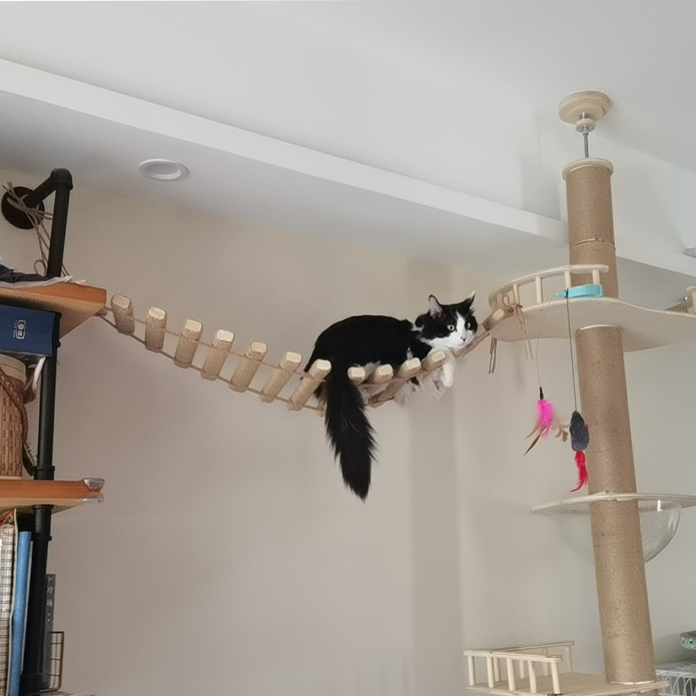 50CM/100CM Sisal Seil oder Holz Leiter Katze Klettergerüst Spielen Katze Brücke Haustier drinnen draussen möbel Katze Liefert