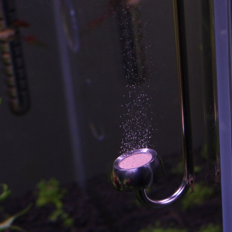 Chihiros – diffuseur de CO2 pour Aquarium, Clip en acier inoxydable, petite bulle de carbone en céramique, remplacement de plante réservoir de poisson