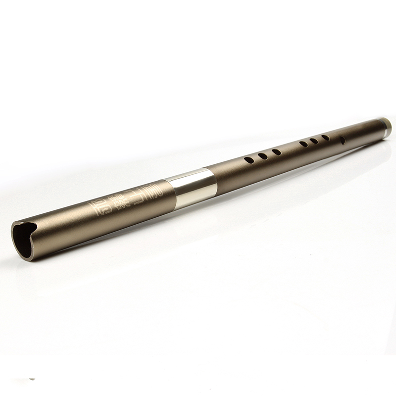 Classical Vertical Flute Aluminum two section Metal XIAO Mouth Piece Inclued Musical Instrument Flute for Beginner