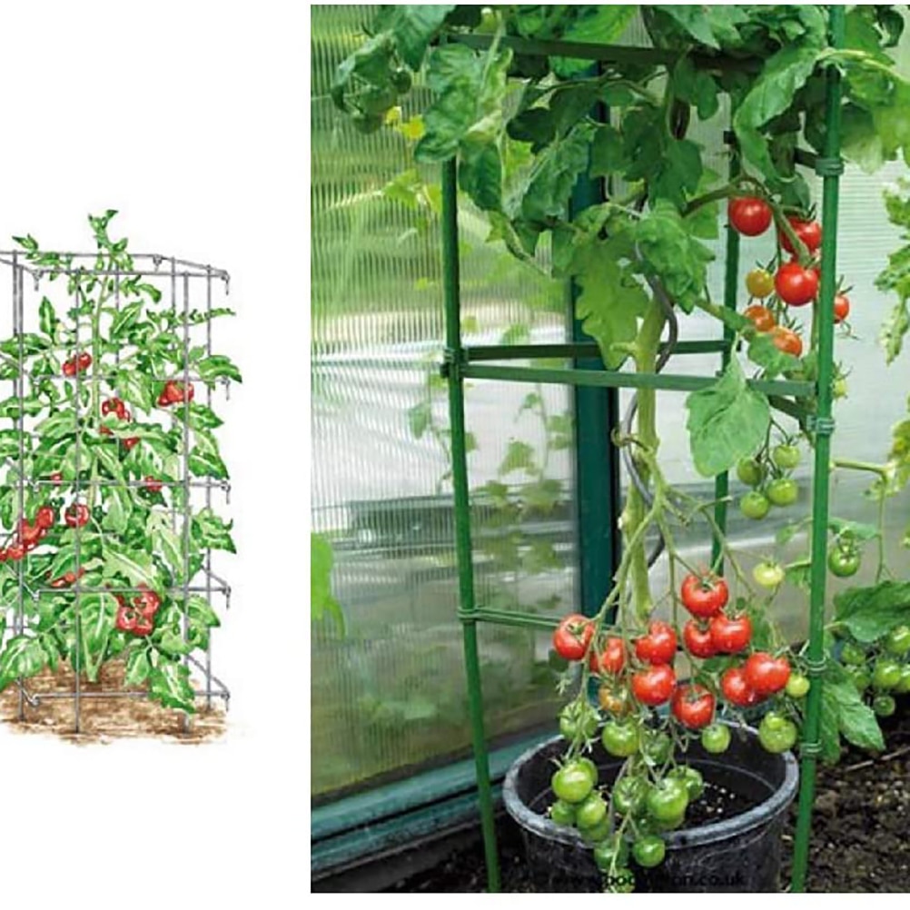12 Stuks Garden Plant Ondersteuning Connector Vegtables Bloemen Tomaat Plant Stand Plastic Stake Armen Tomaat Kooi