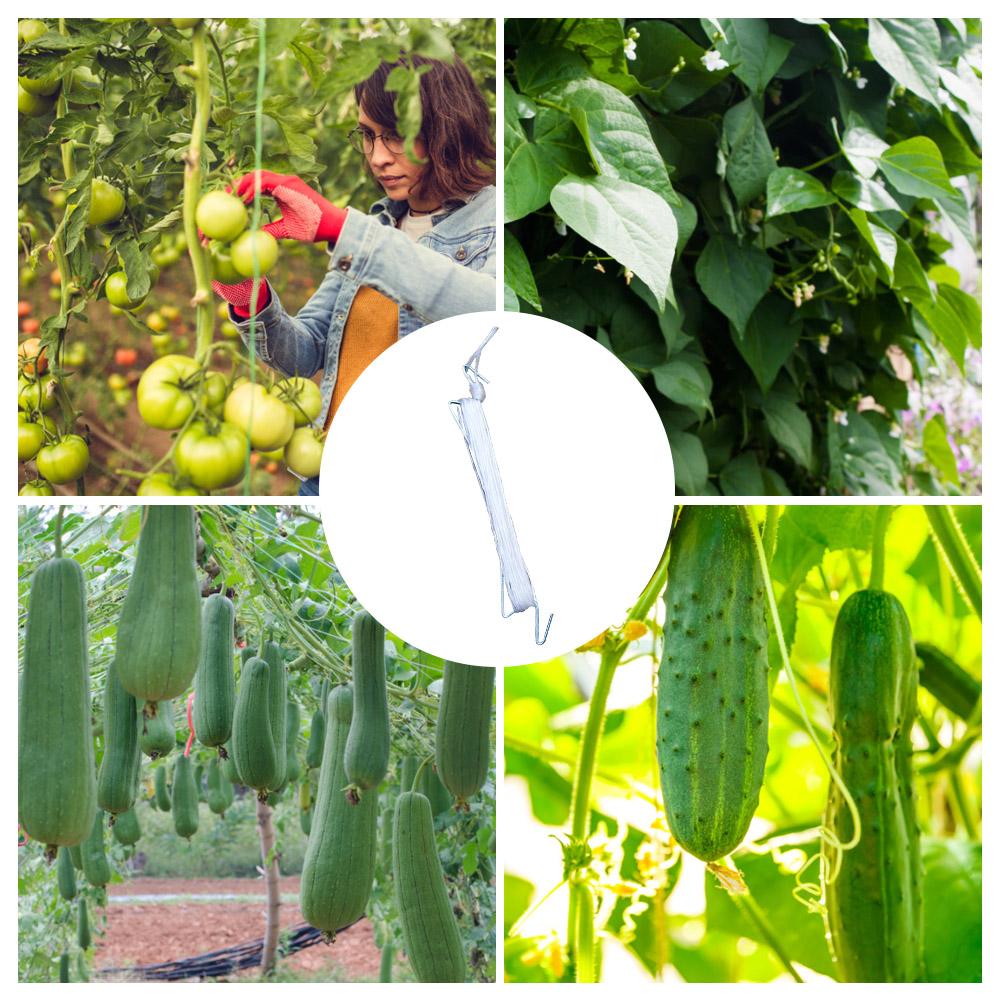 Gancho de tomate horticultura strapping linha crescimento da planta tração corda gancho videira vegetais plantio suprimentos para tomates pepinos