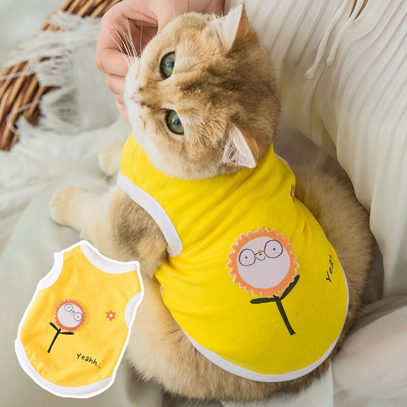 Vêtements mignons de chiot de dessin animé pour petits chiens, Costume de loisirs de printemps pour chat imprimé, vêtements pour animaux de compagnie pour teddy sport