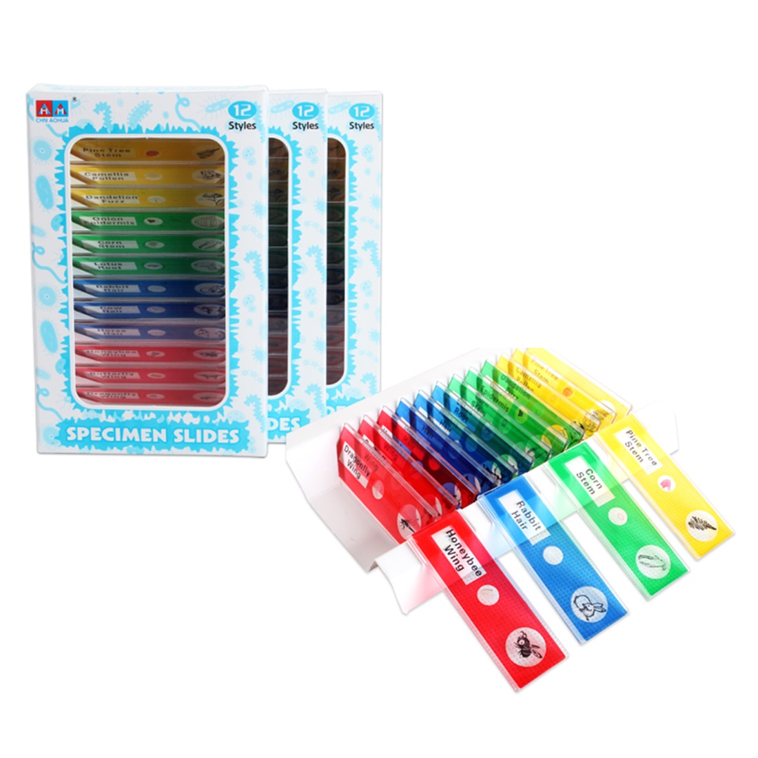 12Pcs Prepared Plastic Microscope Slides Biological Specimen Kit with Box for Children Student Early Biology Education