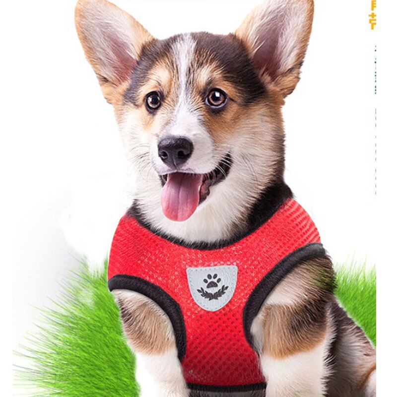 Zwierzęta domowe są zestaw uprząż i smycz kot i pies Walking miękkie Mesh oddychające regulowany gorset dla smycz dla szczeniaka pas piersiowy artykuły dla zwierząt