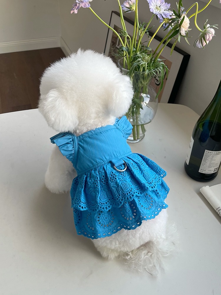 Vestido de encaje con mangas voladoras para mascotas, ropa de tracción fina para perros pequeños, oso de peluche, gato, primavera y verano,: S