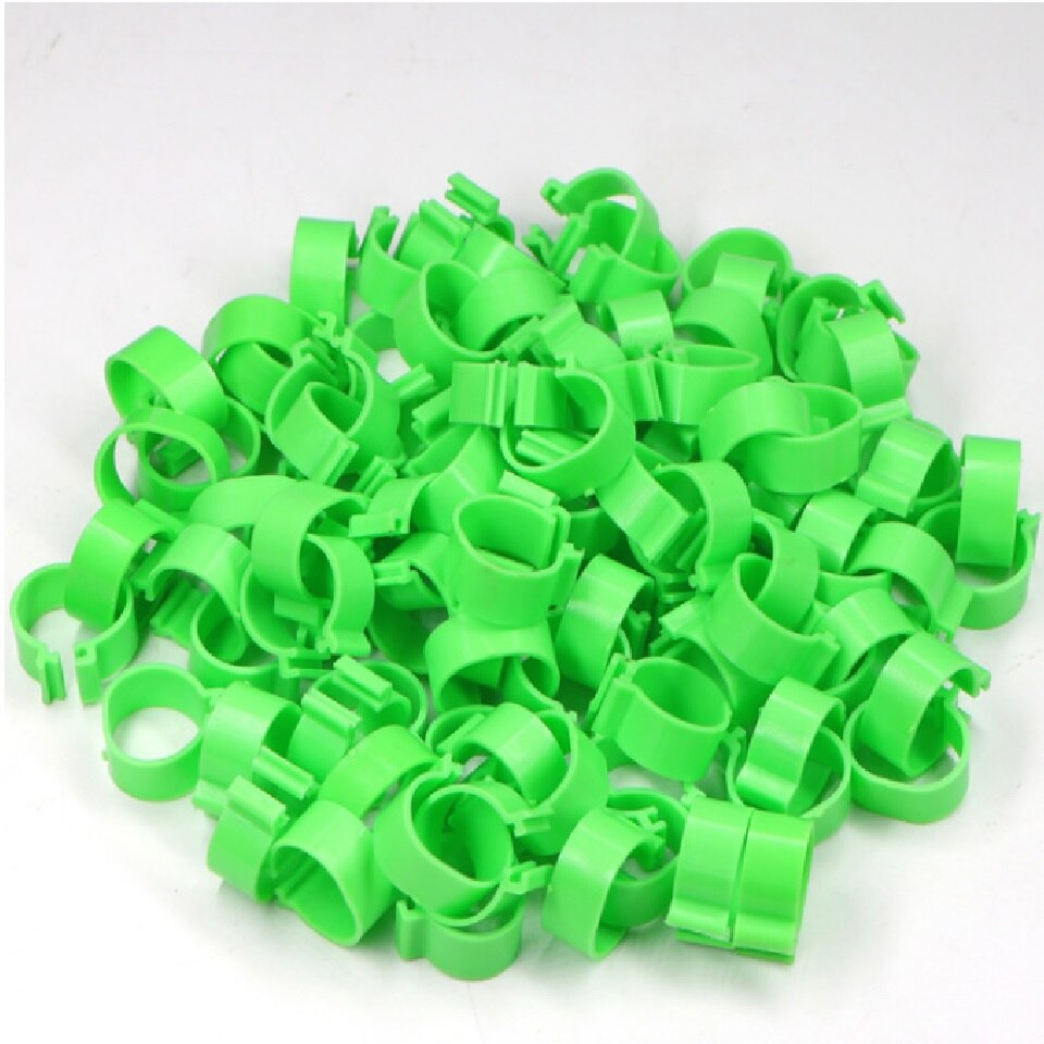 100 Stuks Fokken Experiment Kip Binnendiameter 16/18/20/25Mm Voet Ring Gesp Pluimvee Been kuiken Eend Gans