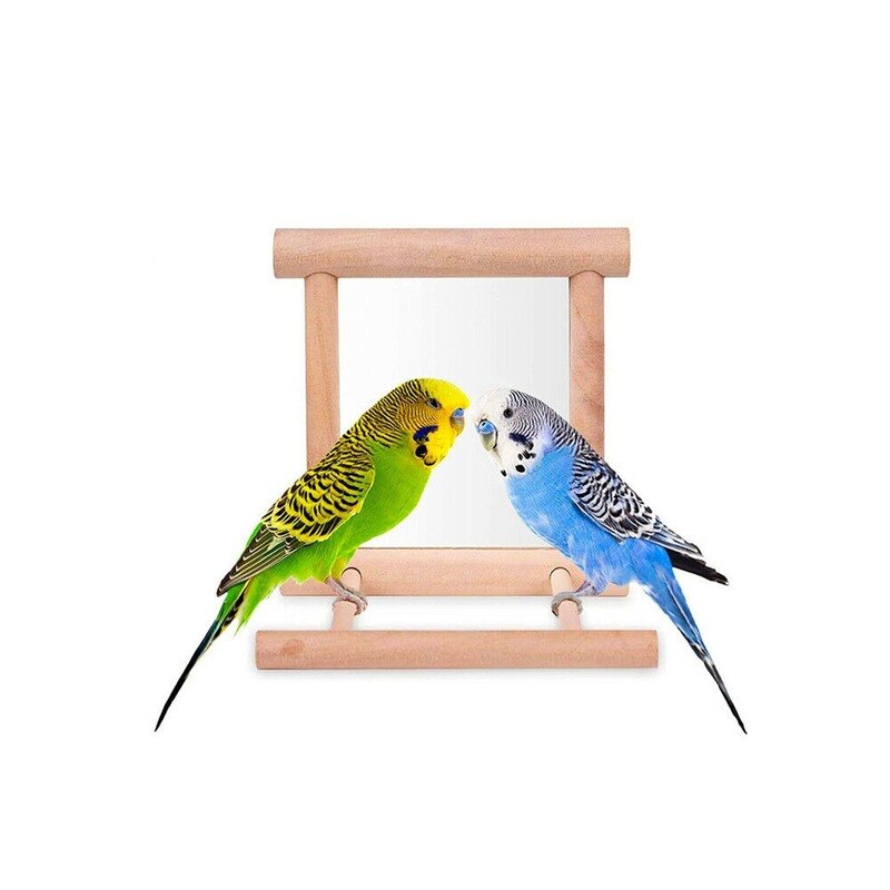 Espejo de madera para mascotas, juguete de juego con perca para loros, periquitos, cacatúas, Conure, pinzones, pájaros amorosos, accesorios, 1 unidad