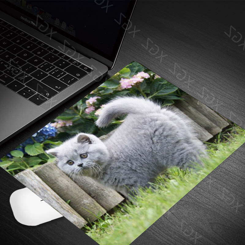Yzuoan Cute Cat Kitten Animal Keyboard Game Notebook Mouse Pad Game Pad Mouse Desk Mat: 22x18-7