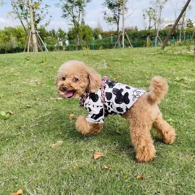 Ropa para perros, camisa con estampado de vaca, ropa para mascotas, para perros pequeños y guapos, Schnauzer de para primavera y verano, negro y blanco,