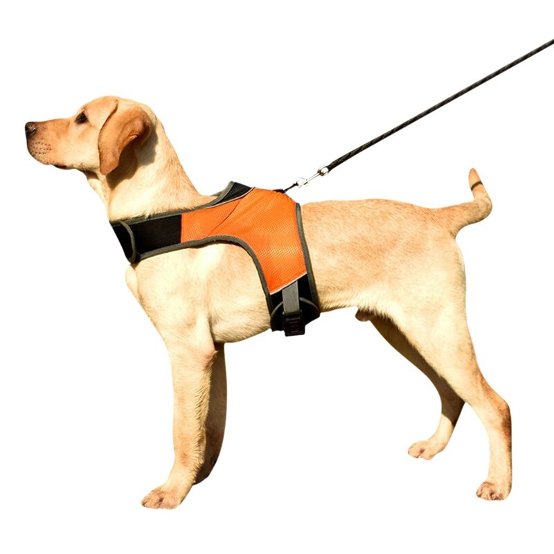 Pet Safety LED Harness Dog Luminous Light Harness LED Dog Harness Leash Rope Belt LED Dog Collar Vest Pet Supplies-: Orange / S