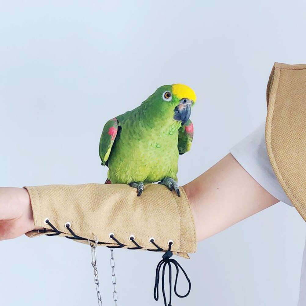Kæledyrs papegøje sjal armbeskyttelse multifunktionelt kæledyr skulderpude armdæksel anti-ridse skulderbeskyttelsesarm beskyttelsesdæksel til scene