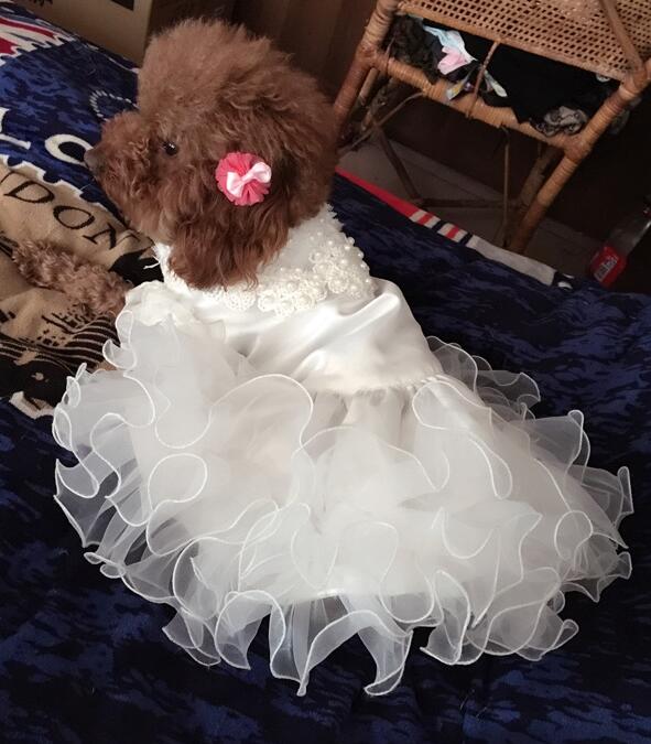 Vestido de boda de lujo para perros y gatos, falda para cachorros, tutú para mascotas, suministros para disfraces de novia, varias princesas, XS a 4XL