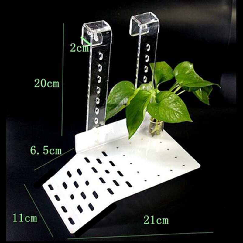 Turtle Basking Platform Height-Adjustable Hanging Amphibian Platform Fish Tank Aquarium Platform Tortoise Resting Terrace