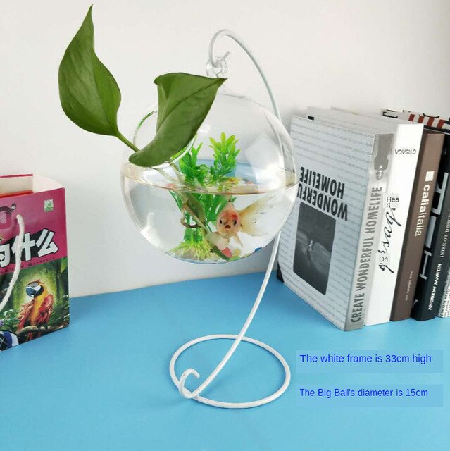 Desktop Opknoping Glazen Aquarium Mini Waterplante... – Grandado