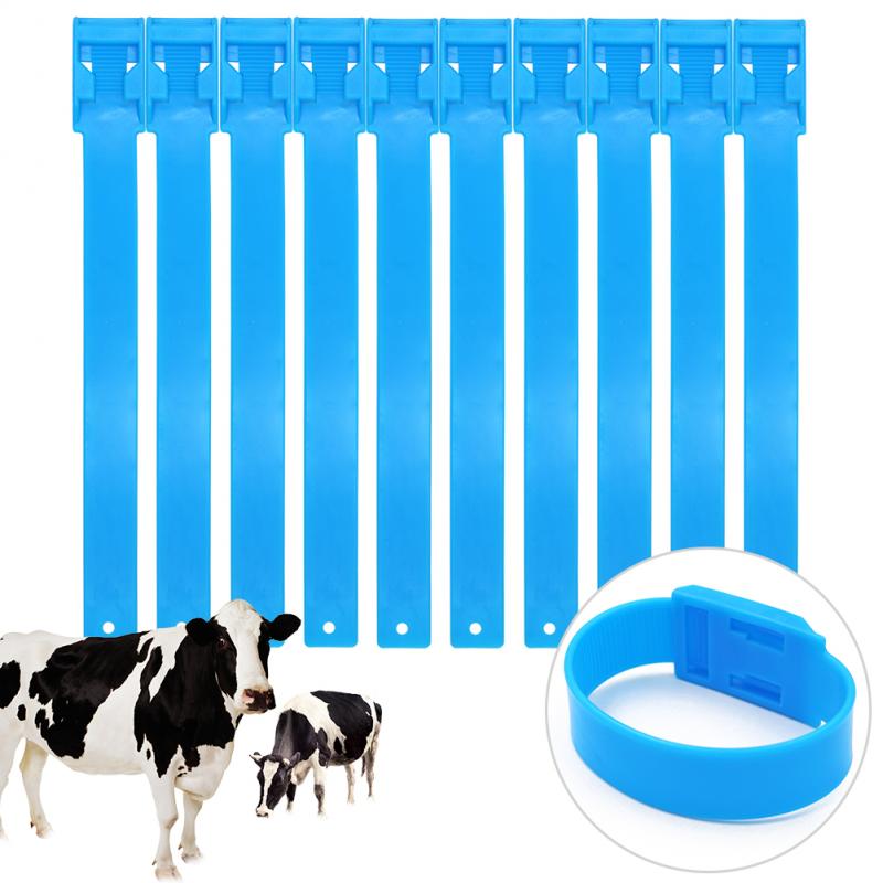 5Pcs Multicolor Vee Identificatie Ringen Koe Mark Band Footmark Band Identificatie Riem Voor Koe Voet Ringen 5 Kleuren