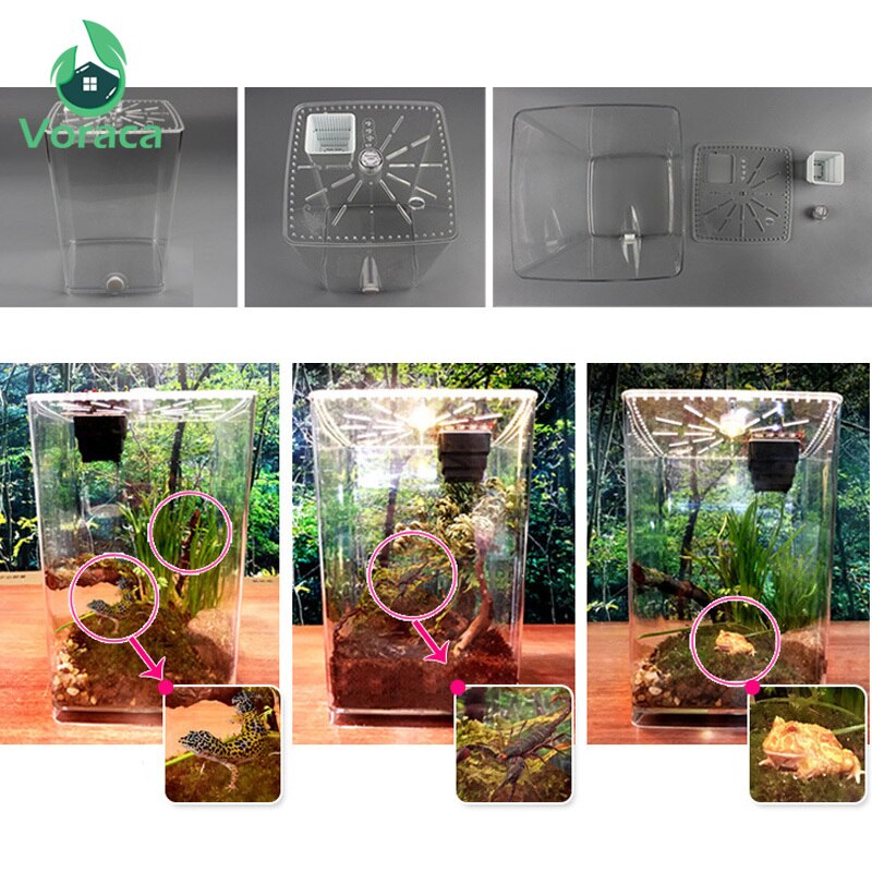 Krybdyr fodring boks pet terrarium fodring tank gennemsigtig akryl krybdyr avl cagebox edderkop scorpion inkubation led lampe