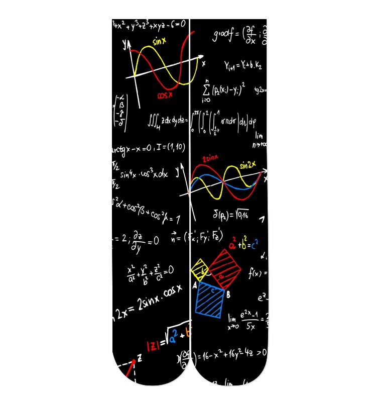 RUNNING CHICK Mathematical Formula 3d Print 38cm Length