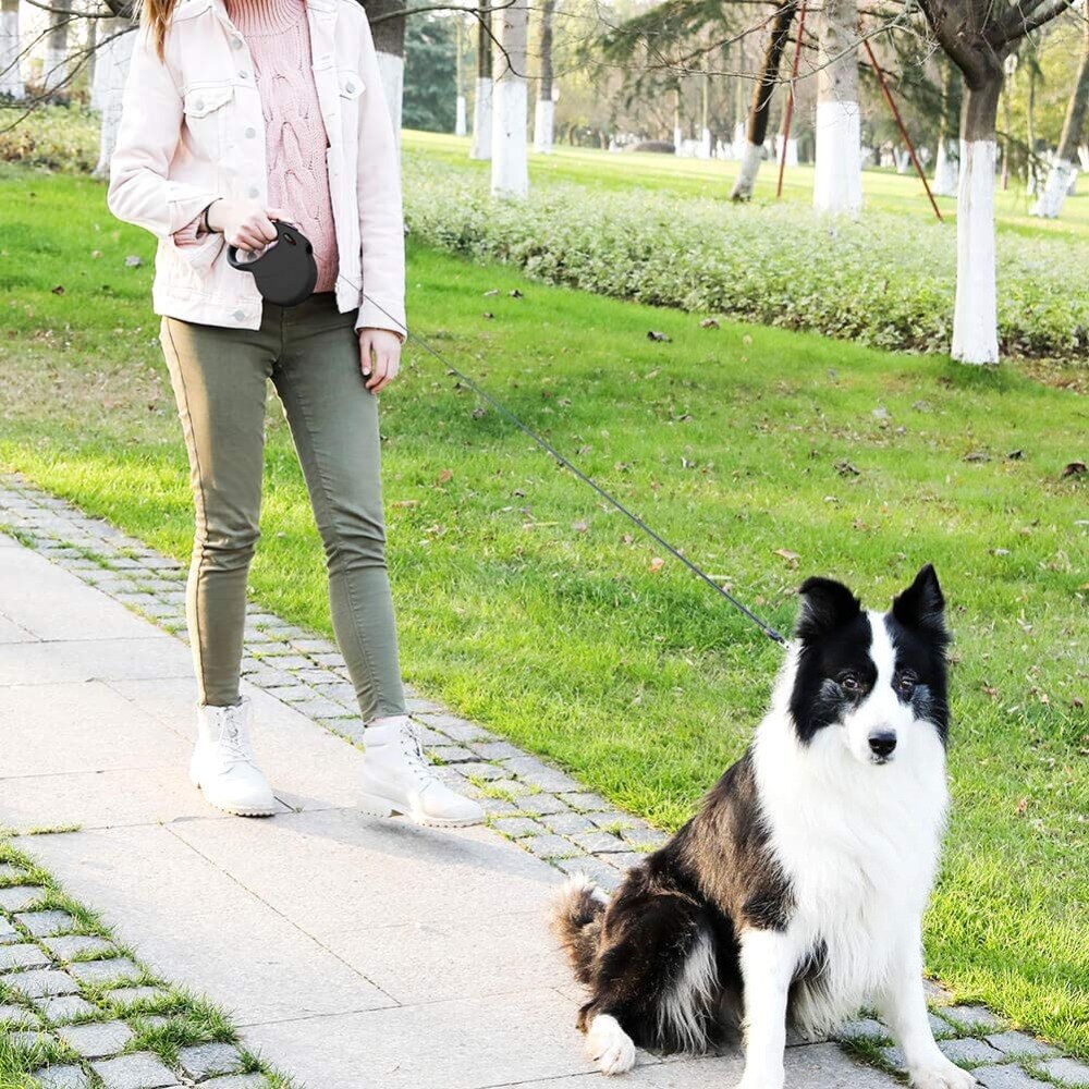 Intrekbare Duurzaam Pet Hondenriemen 5M Ondersteunt Grote Honden Tot £ 100 Best Pet Training Wandelen Nylon Leash huisdier Producten