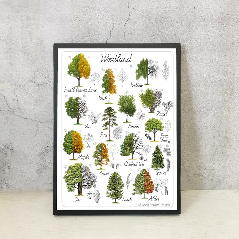 Tree Natural Educational Poster Art Woodland Home Wall Decor Botanical Materials Preschool Painting Retro poster kraft paper