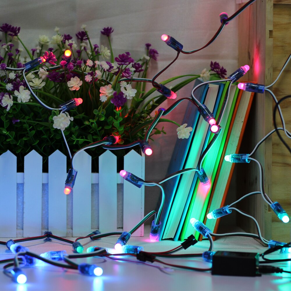 WS2811 RGB LED Module IP68 Waterproof DC5V Full Color LED Pixel Module String Point Lights 50Pixels/Piece with 17key Controller