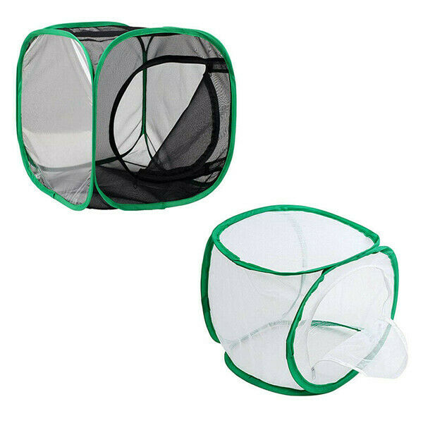 Insect Cage Foldable Butterfly Habitat Mesh Transparent Surface Portable Zipper Insect Supplies Boxes