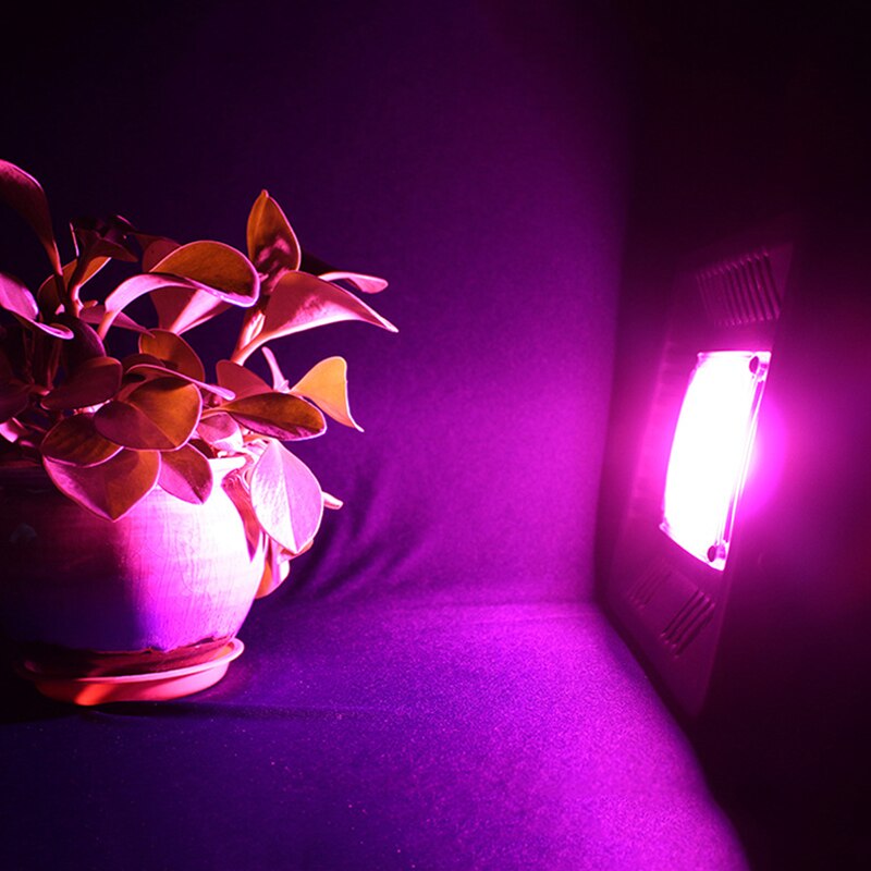 Led Licht Groeien 220 V 50 W 100 W 150 W LED Volledige Spectrum Schijnwerper Outdoor Indoor Waterdichte Kas plant Hydrocultuur Phyto Lamp