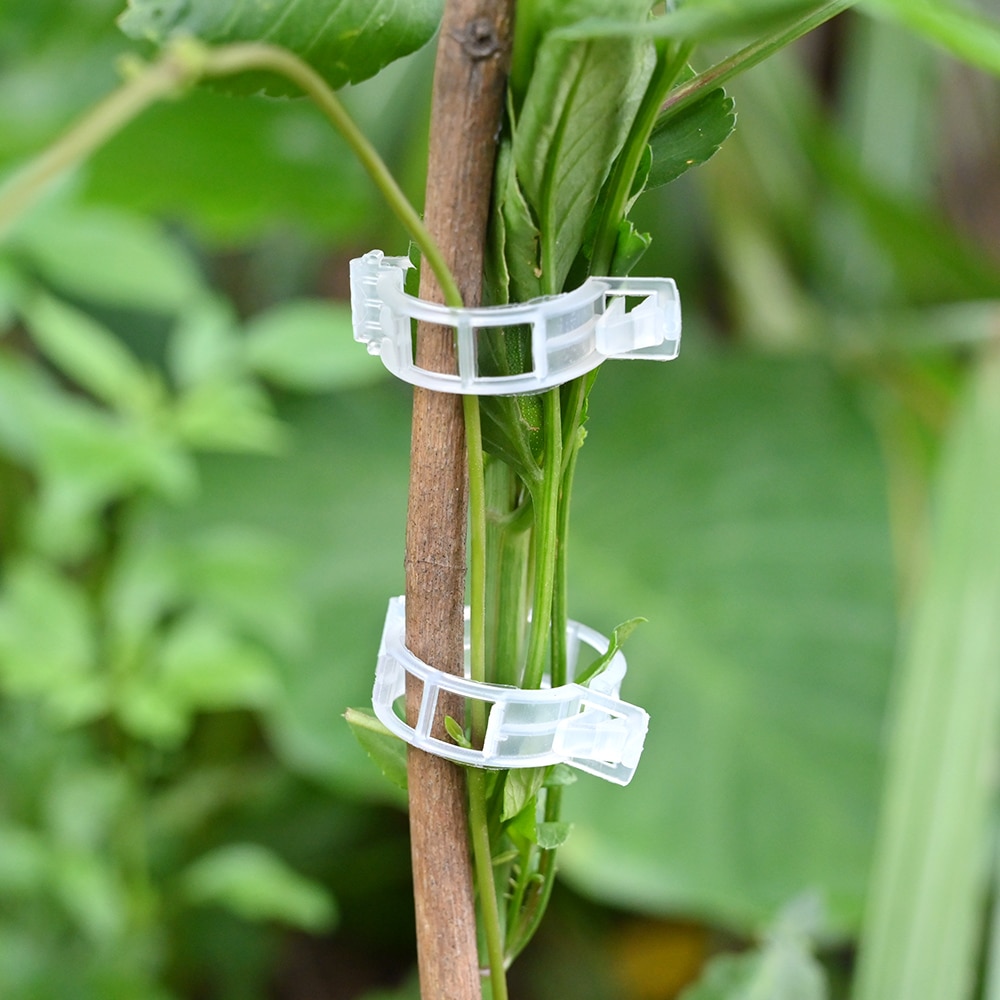 50/100pcs Reusable Plastic Plant Support Clips Plants Hanging Vine Clip Garden Greenhouse Fork Vegetable Tomatoes Clips Supplies